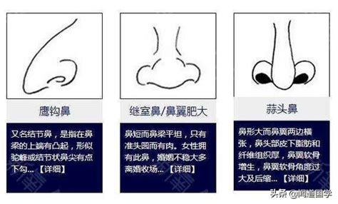 你怎樣 鼻珠面相